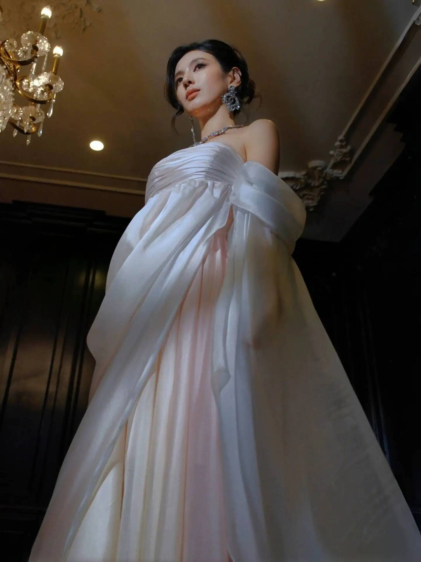 Trägerloses, fließendes Chiffo – Evening Gown Bewertung und Preis